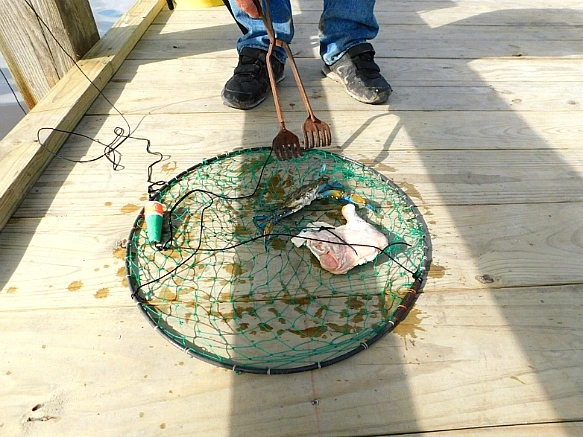 994B58365BF9F8CC02453F