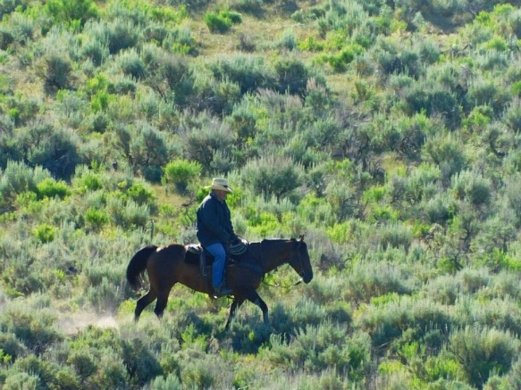 243A8A48595C314B213C41