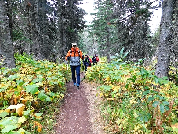 9943524C5BA1B2BC3386CE