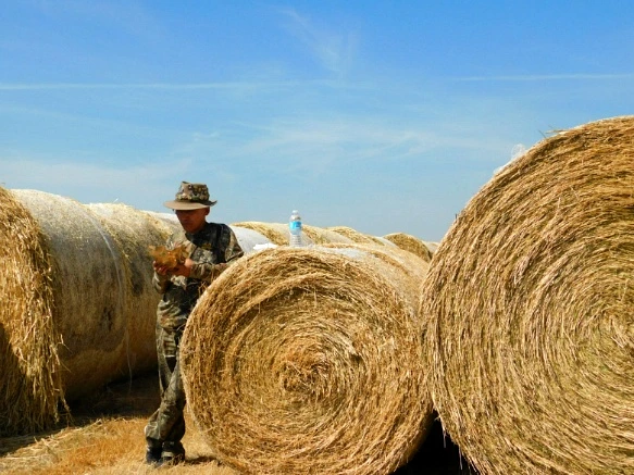 99724A33599F9D72144B09