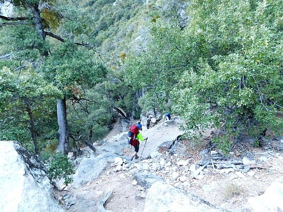 999CAB385BD9128F32587F