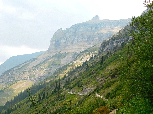 994A7C475B88AA6702889D