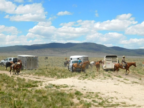 223861435936351B397002