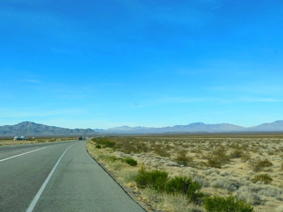 995A0B335A206E9C2F1647