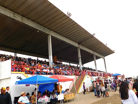 99C157355B7F86831D92AB