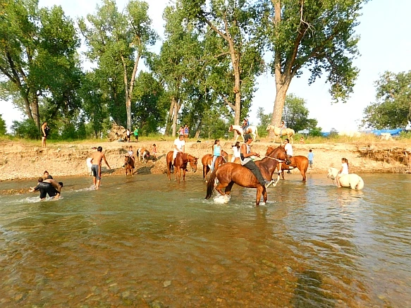 99D9D13D5B7E43DD122970