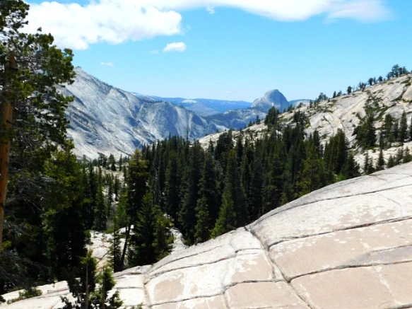 274F193F5772191204824F