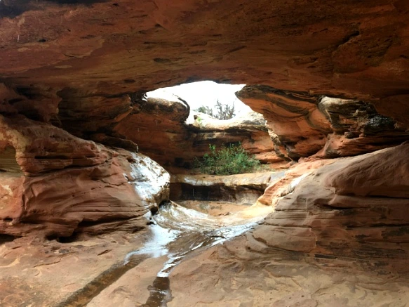 9959FE3359B75133203896