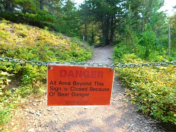 99F8E64D5B875165187267