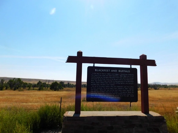 99D5C033599F9D761C01DF