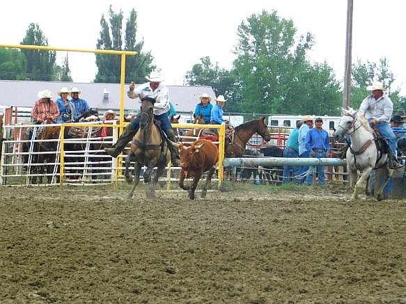 99FA4B335B7F7E7930ED2E