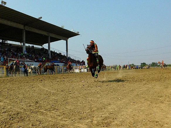 99120D345B7D9EAB0291C4