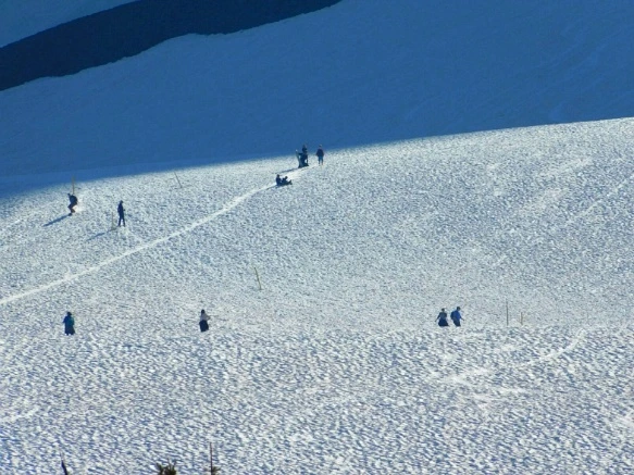 9999C94E5B34576B1C6B56