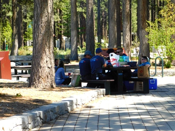 253DD04C593206312E8C3B