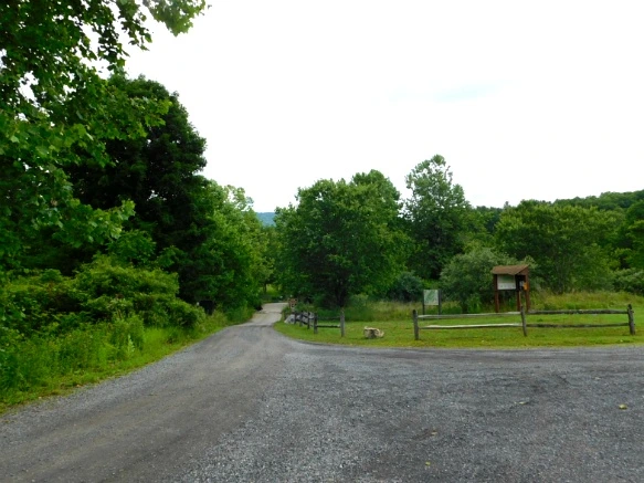 241C0446594C91BA1E2F56