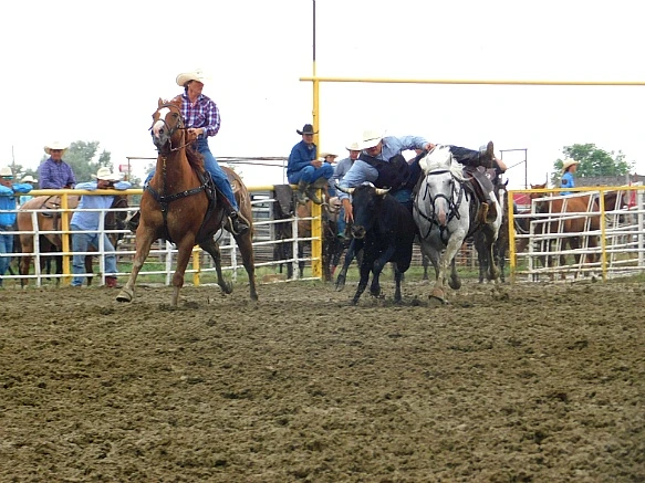 999A34335B7F7E3E257F8A