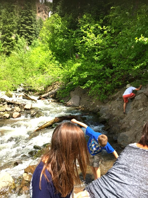 2529E43D5760C21131D7F2