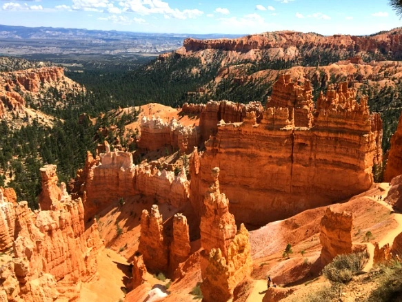 9993C43359B875E011F83B