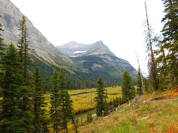 998350455BAB05B124A64F