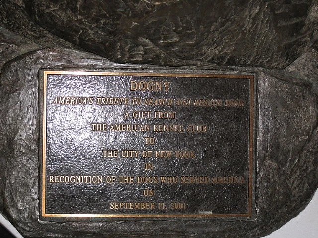 206DDB324C6EC9D211F41A