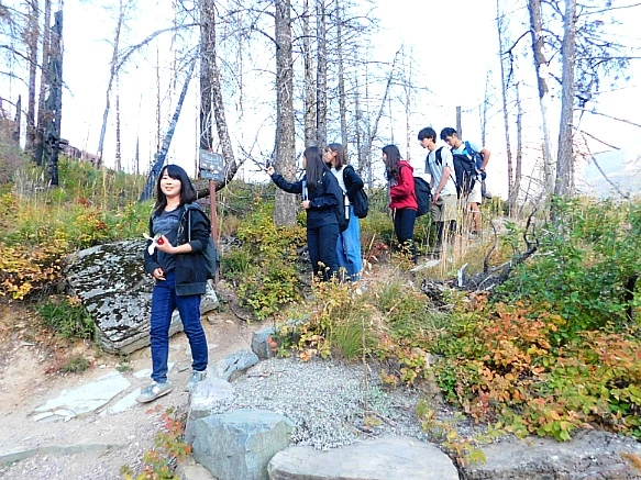 99339D4A5B95B3AF02A3EE