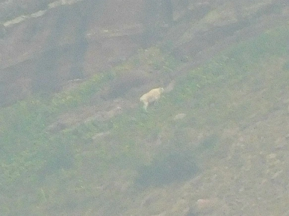 99271D345B8CA05A02D029