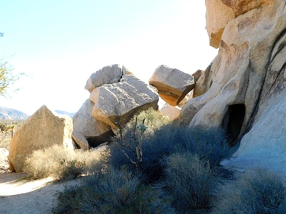 995B12475BE11CB9151D74