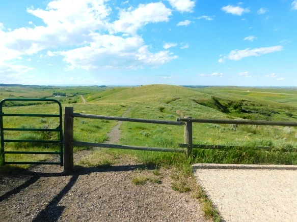 99CBD04D5B402B3E18ACA1