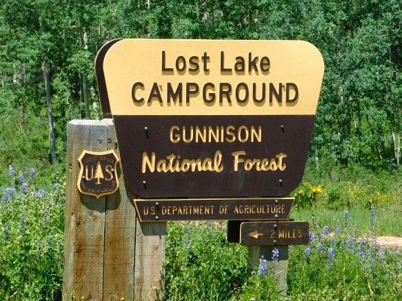 263D2544595C31991DA34A