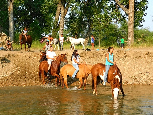 996F033D5B7E43BE354AC1