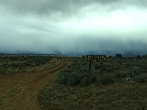 24084E3B5705B1F20325DC