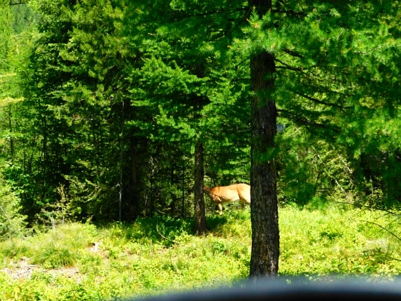 99445A485B39A5671C9323