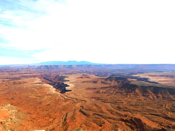 990D50335A0E55ED07B4F7