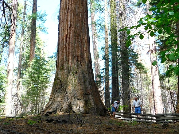 25374B4457736C1C296C12