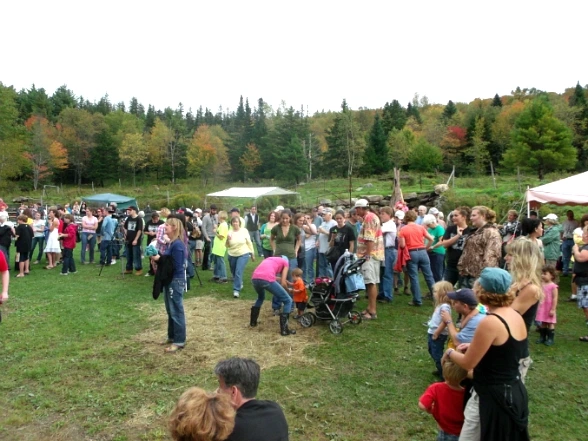 205B9D4D4E81046902559C