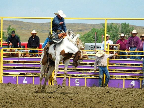 991F29335B7F84BD08BFC1