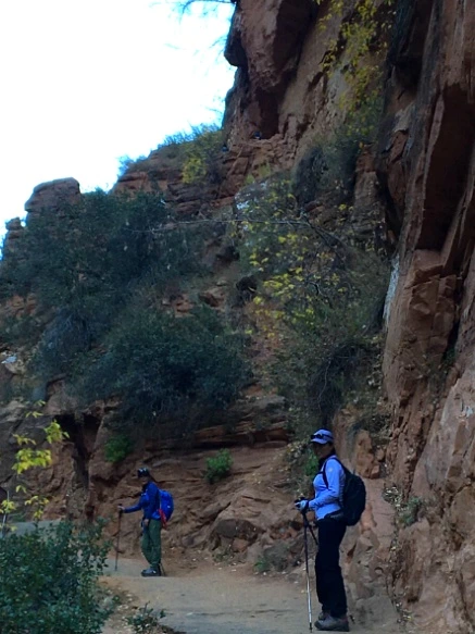 990CD7335A1CB8FE3666B3