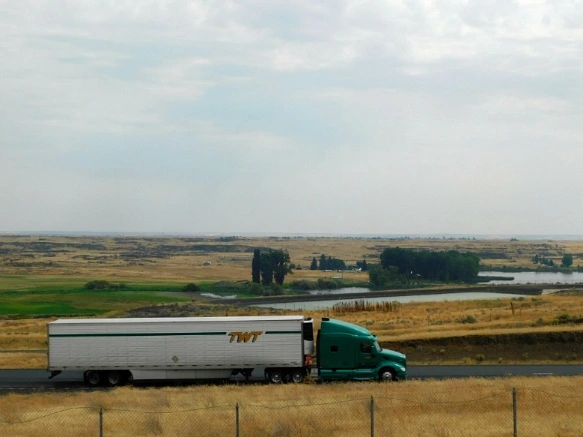 997C123359A3831E03DECA