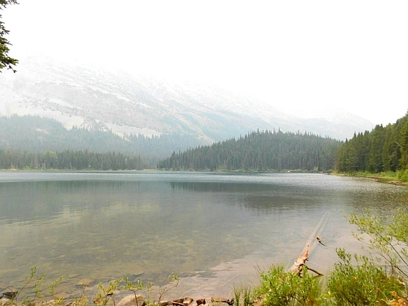 997795365B8CA154023731