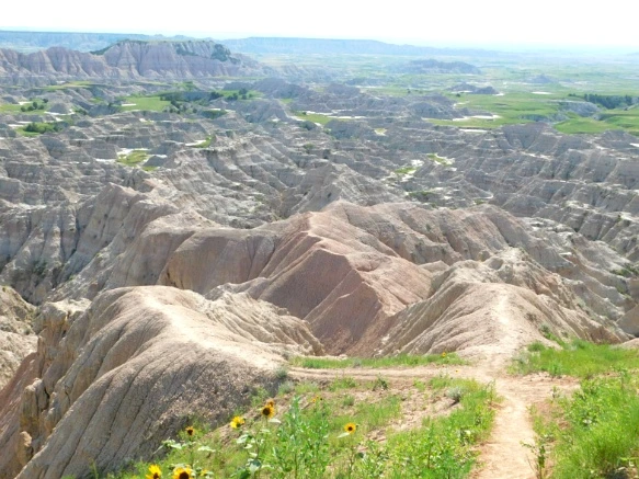 99BA8D455B480AA622FD65