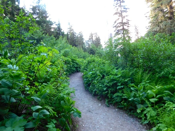 992C2F4D5B381ABF390C4D