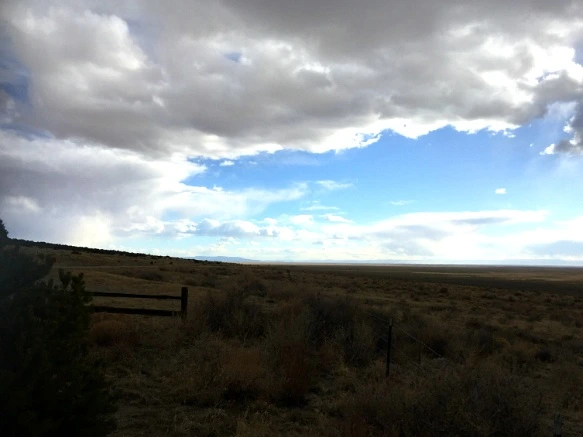 2406554957004AF2191821