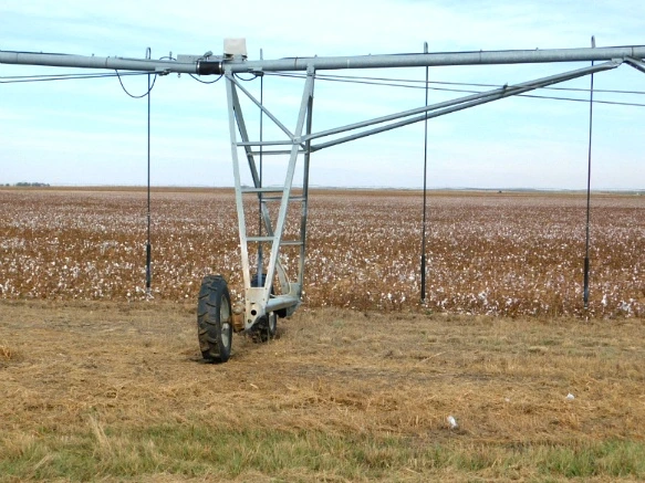 9903C8335A07C8542C74FF