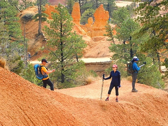 994FBF505BC56C8127337F