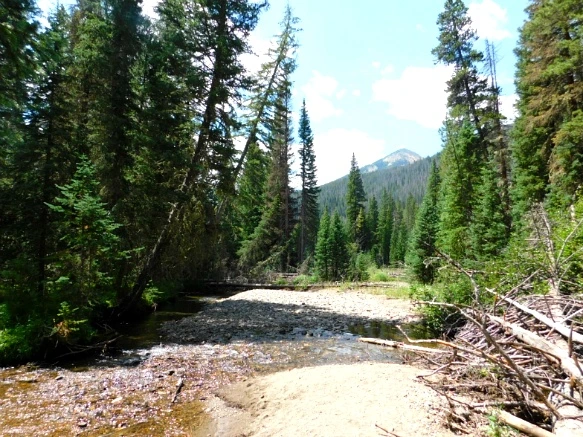 99CC36495B6E69C4316C4E