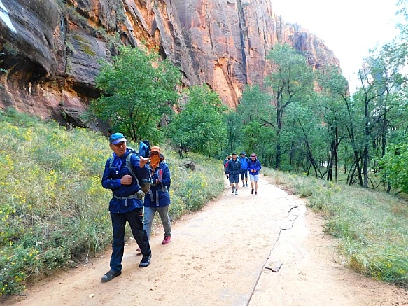 99FFD44E5BC681D70E35A5