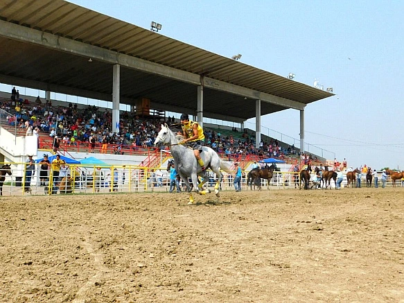 991938335B7D9567290DBE