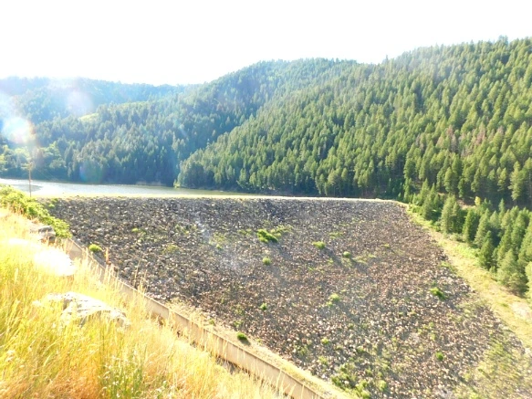 251A9F48595C3157215454