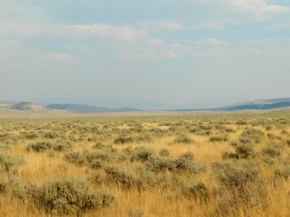 99914133599E4F6F14FE6C