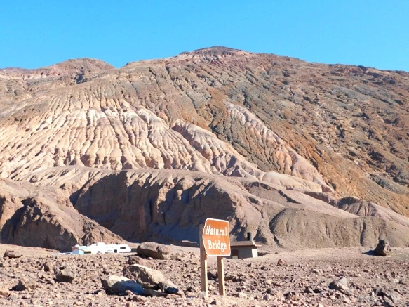 999565335A23AD4D1711A6